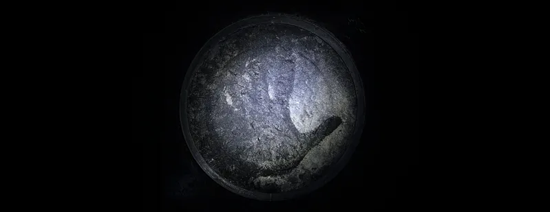 Das Rheingold (Der Ring des Nibelungen): Immagine di anteprima
