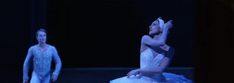 Il Sogno Bianco – Dietro le quinte de 